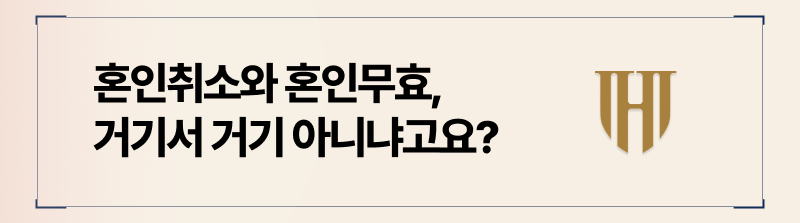 혼인취소와 무효의 차이점도 아직 모른다면, 반드시 법률 전문가와 상담 진행해보시길 바랍니다.