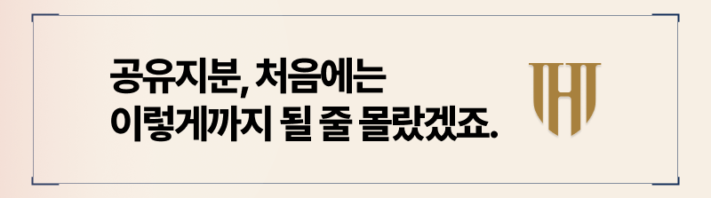 공유지분분할 문제 해결 방법