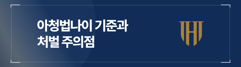 아청법나이 기준 및 처벌에서의 주의점 정리본